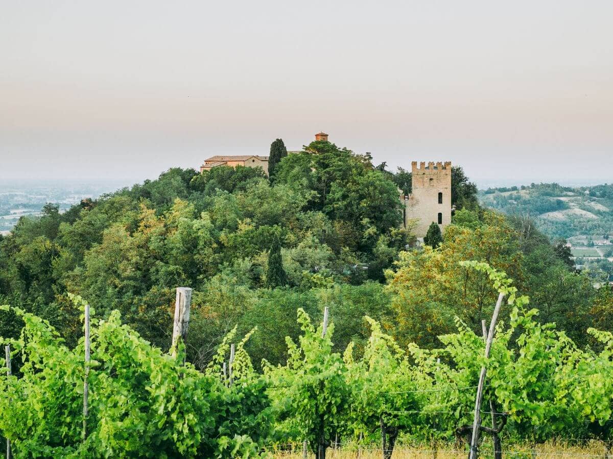 Parco Regionale dell’Abbazia di Monteveglio