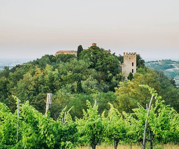 Parco Regionale dell’Abbazia di Monteveglio