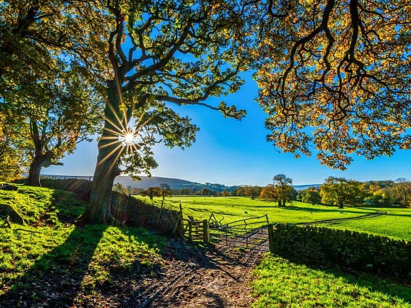 Aprire un agriturismo in Emilia Romagna